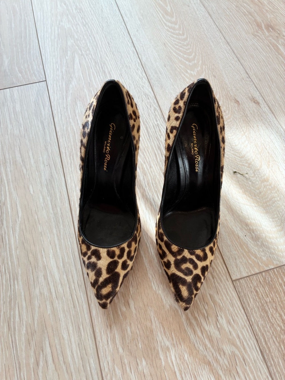 Gianvito Rossi Leopard Print Pointed Toe Pumps - Black & Brown